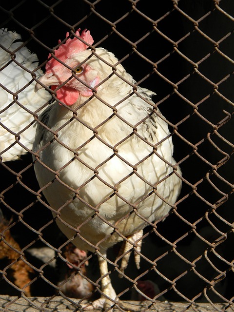 方式在球迷 方式在球迷