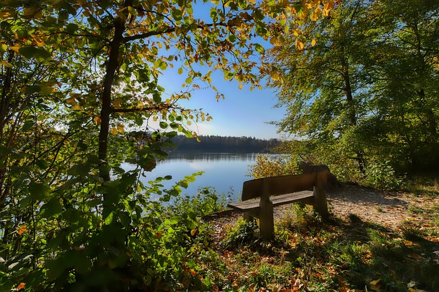 自身的不足 自身的不足