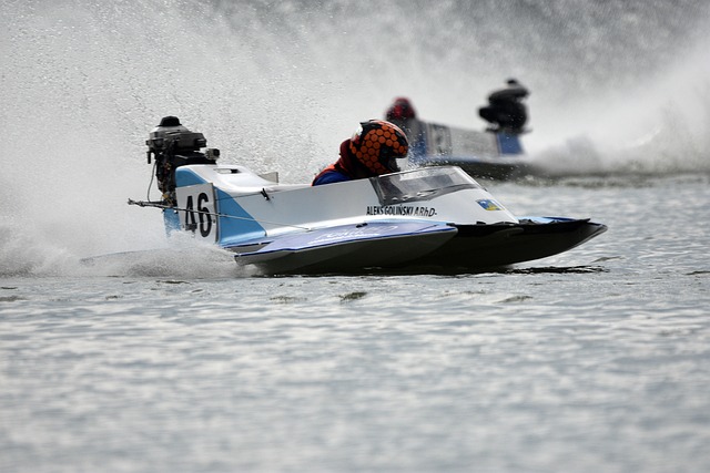 活的小贴士 活的小贴士