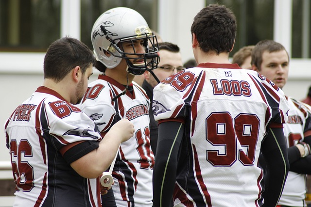 荷尔斯泰因 荷尔斯泰因