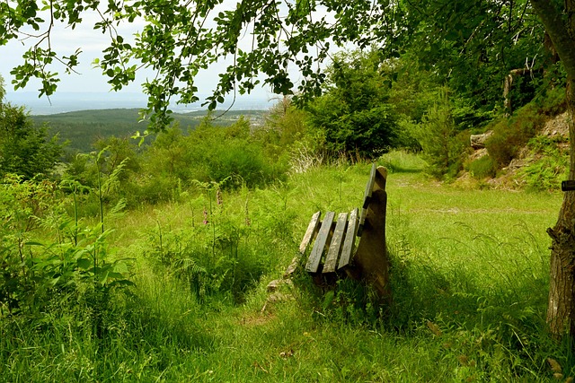 快船的多点 快船的多点