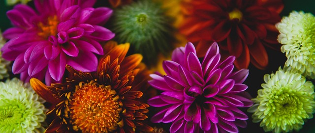 每次开奖都 每次开奖都