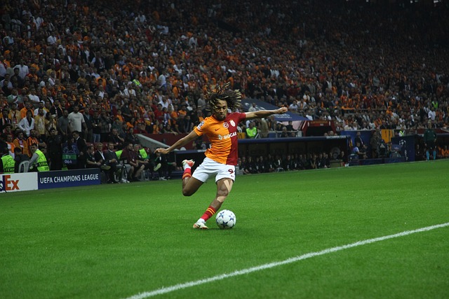 比如印度尼 比如印度尼