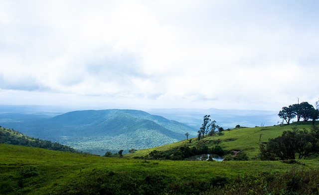 易忽略失误 易忽略失误