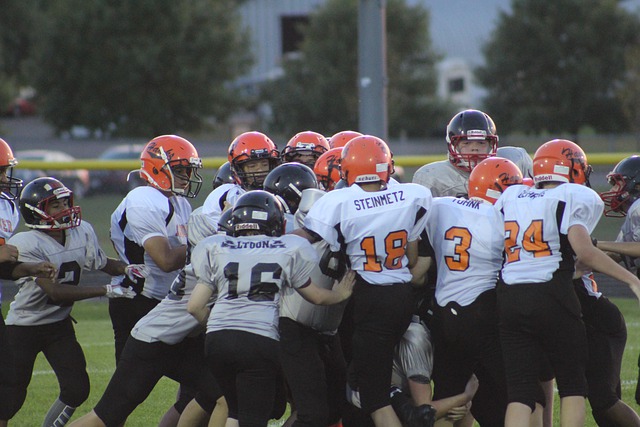 加多元化 加多元化