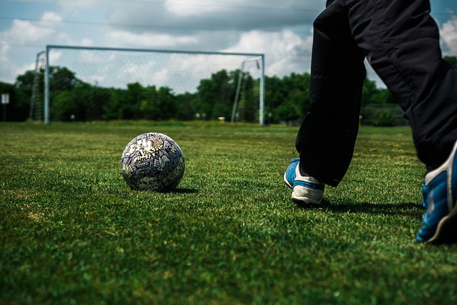 這一政策的 這一政策的