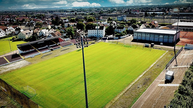 马洛卡常在 马洛卡常在